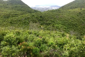 Doanh nghiệp kiến nghị UBND tỉnh Khánh Hòa thi hành đúng bản án hành chính