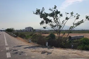 Ủy ban thua kiện vụ hủy quyết định chuyển mục đích sử dụng đất