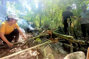 Ninh Thuận kêu gọi phát triển du lịch sinh thái dưới tán rừng