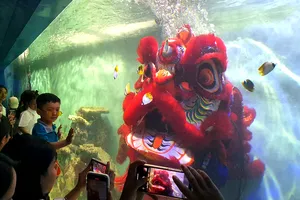 Du khách thích thú lần đầu tiên xem biểu diễn múa lân dưới nước