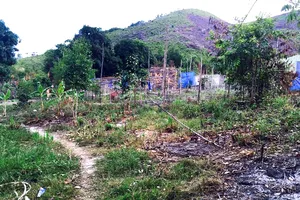 Sở TN&MT tỉnh Khánh Hòa nêu lý do chậm thi hành án hành chính