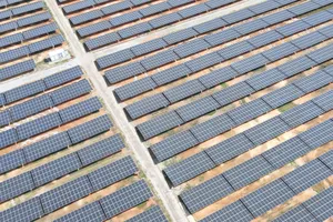 Tỉnh Ninh Thuận yêu cầu huyện Ninh Phước thi hành đầy đủ bản án hành chính