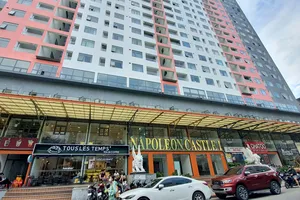 Khánh Hòa: Cưỡng chế công ty nợ thuế hơn 44 tỉ đồng