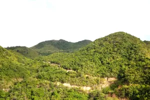 Diễn biến mới vụ Sở TN&MT Khánh Hòa đề xuất hủy quyết định cho doanh nghiệp thuê đất