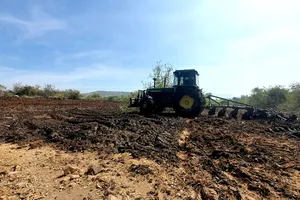 Ninh Thuận: Xử lý bãi đổ vỏ nha đam gây mùi hôi thối