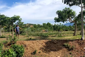 Vụ xã lúng túng thi hành án hành chính: Niêm yết hồ sơ cấp giấy chứng nhận