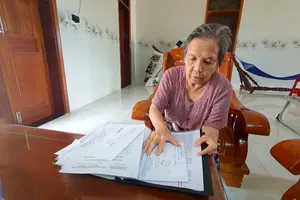 Tiếp tục chờ thi hành bản án có hiệu lực 10 năm