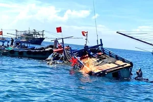 Tàu cá Bình Định cứu 4 ngư dân Phú Yên bị chìm tàu trên biển 