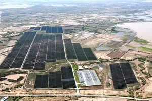 Một số tổ chức, cá nhân ở Ninh Thuận bị kỷ luật liên quan các dự án điện gió, mặt trời