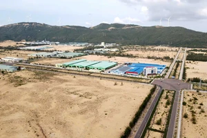 Bình Định tăng cường đấu giá quỹ đất để kịp thời tạo nguồn thu ngân sách