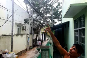 Sống trong lo sợ vì đường dây điện vắt trên mái nhà