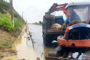 Mưa lớn, nhiều khối đất đá sạt xuống đường ven biển Ninh Thuận