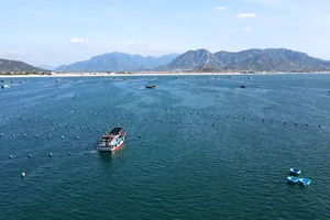 Ninh Thuận quy hoạch 2.000 ha mặt nước để nuôi biển công nghệ cao