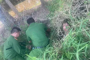 Tóm gọn đôi nam nữ trộm cắp trốn trong bụi cỏ