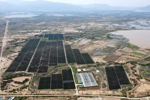 Ninh Thuận yêu cầu rà soát, báo cáo vụ chưa truy thu hơn 73 tỉ đồng thuế 