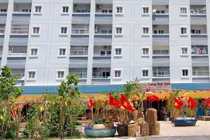 Biến sân chung cư thành vườn, 1 doanh nghiệp bị phạt 70 triệu đồng