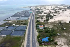 Không kiến nghị thu hồi 5 thửa đất cấp giấy chứng nhận trái phép ở Khánh Hòa