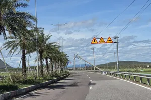 Bão số 13 làm mất điện gần toàn tỉnh Bình Định cũ