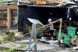 Những hình ảnh tan hoang tại tâm bão Quy Nhơn