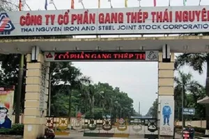 Vì sao Gang Thép Thái Nguyên kêu cứu?