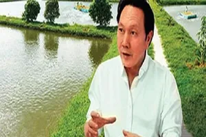 Vua cá Dương Ngọc Minh 'nói trước bước không qua'