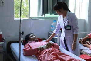 4 người suýt chết vì không phân biệt được so biển với loài sam