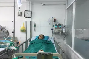 Đút rơm cho bò ăn, cụ bà bị gãy 8 xương sườn