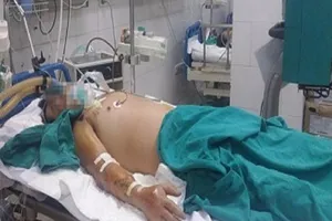 Suýt chết vì bị heo đạp, gà mổ chơi chơi