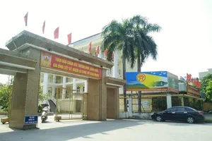 600 giáo viên hợp đồng Hà Nội trước nguy cơ mất việc