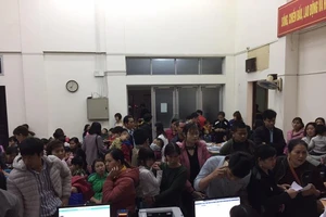 Bộ Y tế yêu cầu Bắc Ninh dừng lấy máu xét nghiệm sán lợn