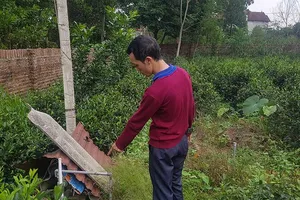 Đã có kết quả mẫu đất nhà 3 anh em tử vong nghi do Whitmore