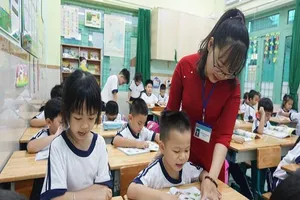 Thông tin mới về mã số, tiêu chuẩn chức danh nghề nghiệp