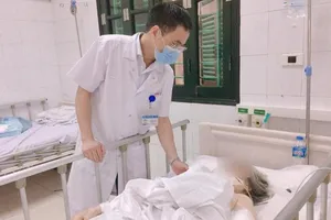 Chó Bully nặng 30kg tấn công, cụ bà 87 tuổi phải cắt cụt tay