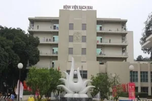 Vì sao hơn 200 cán bộ, nhân viên tại BV Bạch Mai nghỉ việc?