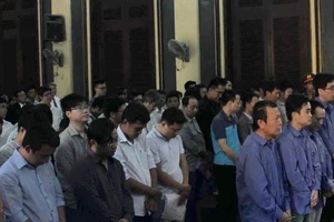 Phòng xử cười ồ vì lý do luật sư bào chữa cho sinh viên