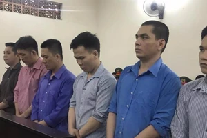 Bị 'đại bàng' đánh chết vì không chịu... cúi đầu