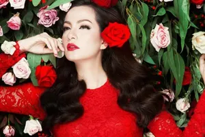 Vụ siêu mẫu Ngọc Thúy kiện: Người trong cuộc nói gì?