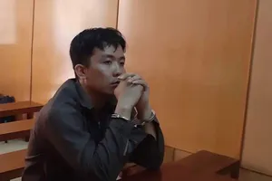 12 chị em muốn đi lao động và lấy chồng Hàn 'dính chưởng'