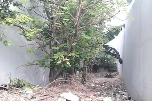 Điều tra bổ sung vụ chém người trộm vịt ở quận 12