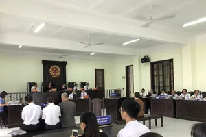 Căng thẳng tranh luận 31 vấn đề vụ chưa trả hết nợ bị khởi tố