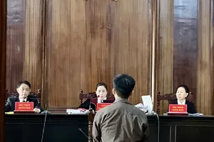 Làm rõ nhà đầu tư sòng bạc của 1 người Hàn Quốc ở quận 2