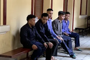 Biết tiếng Việt nhưng cần phiên dịch, tòa vẫn phải đáp ứng