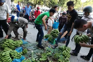 Sau Đồng Nai, người Sài Gòn ra tay cứu chuối Tây Ninh