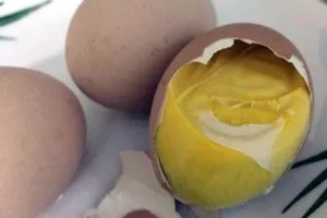 Hột vịt dữa tăng cường 'bản lĩnh đàn ông' đến đâu?