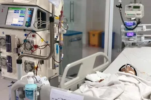 Ong vò vẽ tấn công: 2 người chết, 2 người nguy kịch 