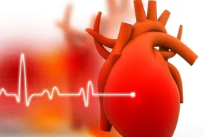 Gần 2 triệu người Việt Nam đang mắc bệnh suy tim