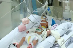 Hành trình 12 năm và 10.000 trái tim nhỏ được hồi sinh