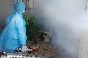 Hóa chất diệt muỗi độc hại ra sao? 