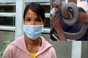 Người đàn ông ôm rắn hổ mang cấp cứu: 'Tưởng hôm qua chết rồi'