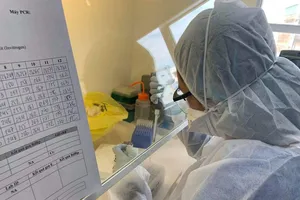 BN 1347 là giáo viên tiếng Anh đã đến những đâu? 